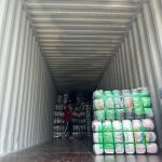 WhatsApp Image 2025-08-11 at 6.32.48 PM